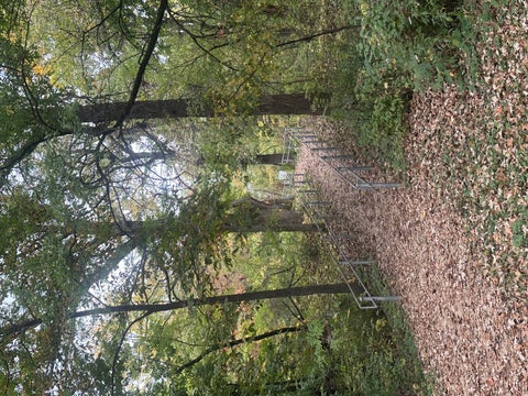 Tiny photo for 430 Spruce Drive, Schaumburg, IL 60193 (MLS # 12758258)