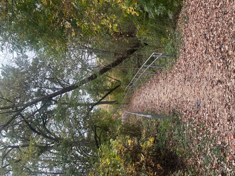 Tiny photo for 430 Spruce Drive, Schaumburg, IL 60193 (MLS # 12758258)