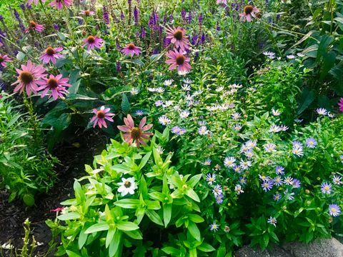 Tiny photo for 1137 Kirkwood Boulevard, Davenport, IA 52803 (MLS # 12584692)