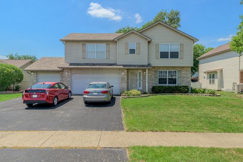 1109 Greeley Drive New Lenox IL 60451