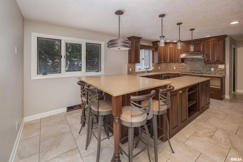 Tiny photo for 1225 38TH Avenue Court, Rock Island, IL 61201 (MLS # QC4269836)