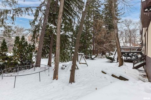 Tiny photo for 1225 38TH Avenue Court, Rock Island, IL 61201 (MLS # QC4269836)