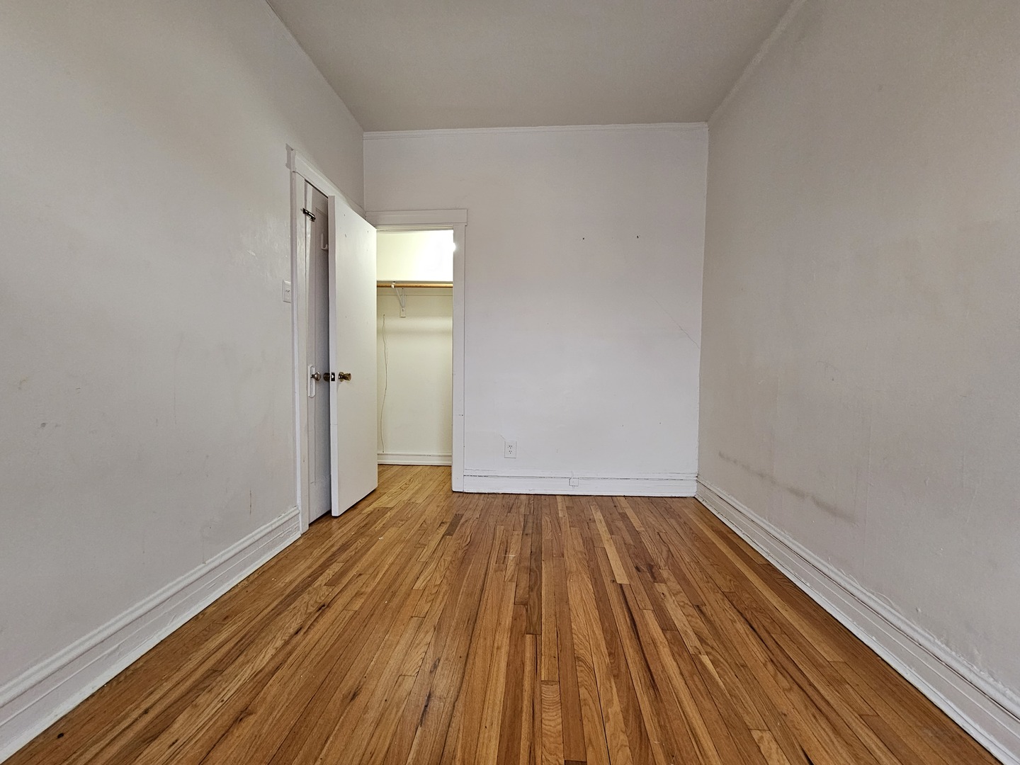 709 W Cornelia Avenue 1F