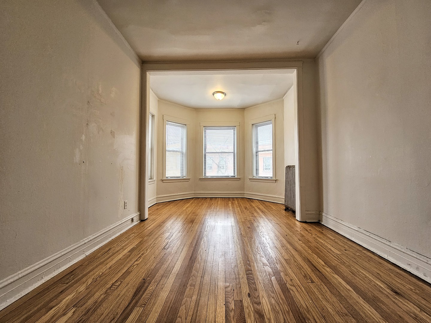 709 W Cornelia Avenue 1F