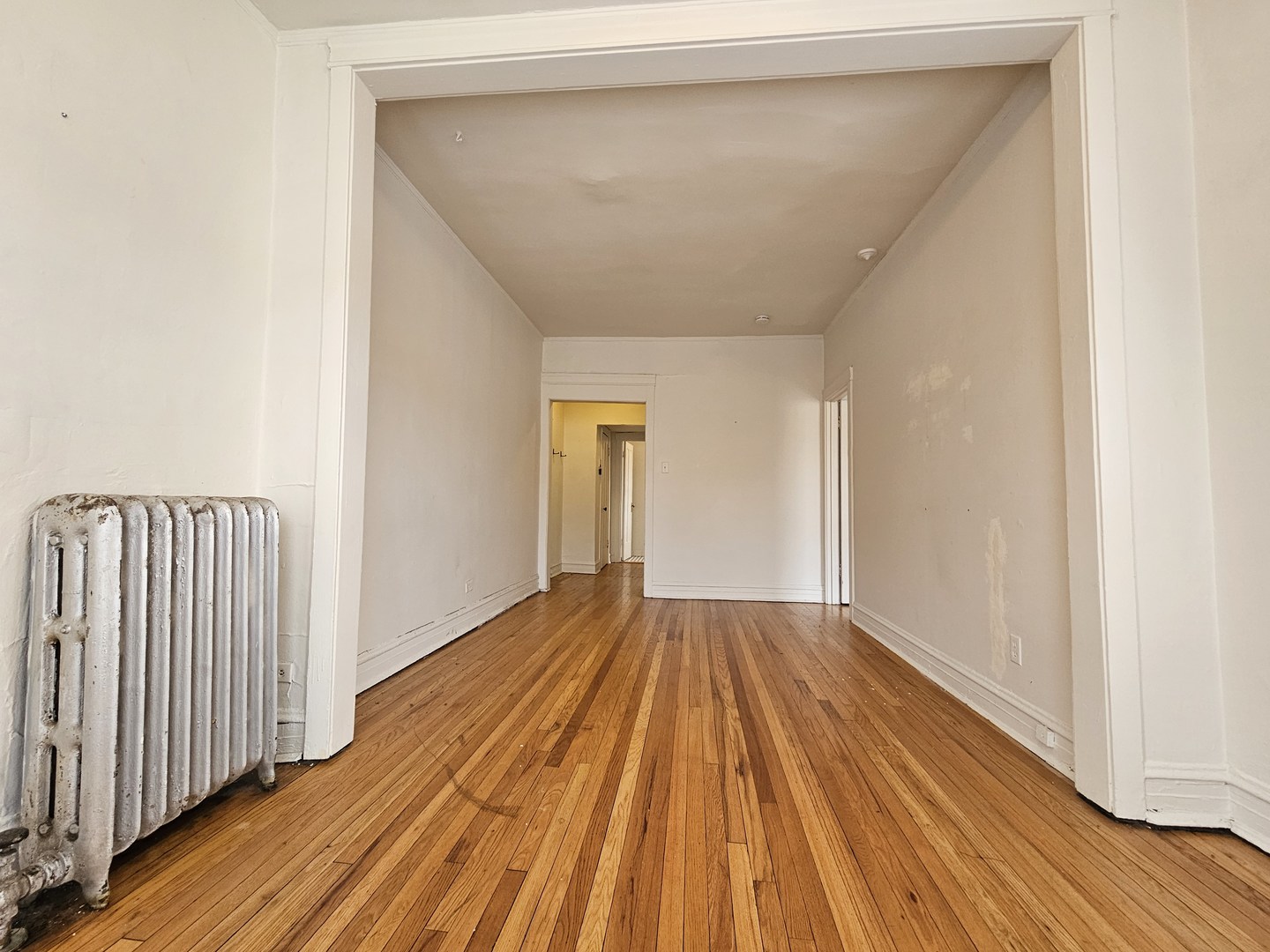 709 W Cornelia Avenue 1F