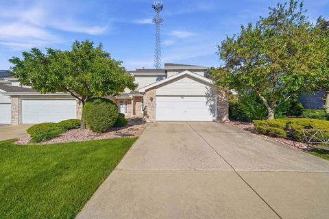 8627 Miroballi Drive Hickory Hills IL 60457