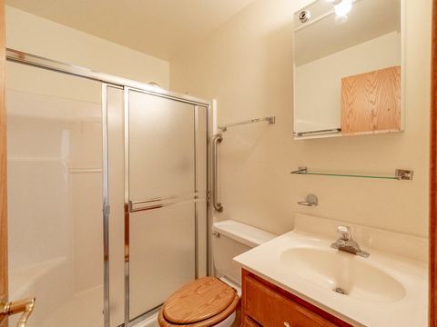 Tiny photo for 6709 Pondview Drive, Tinley Park, IL 60477 (MLS # 12516680)