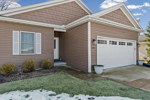 Tiny photo for 207 E School Street, Royal, IL 61871 (MLS # 12542239)