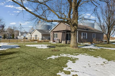 Tiny photo for 207 E School Street, Royal, IL 61871 (MLS # 12542239)