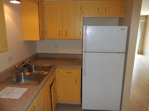 Tiny photo for 314 Lathrop Avenue #203, Forest Park, IL 60130 (MLS # 12701207)