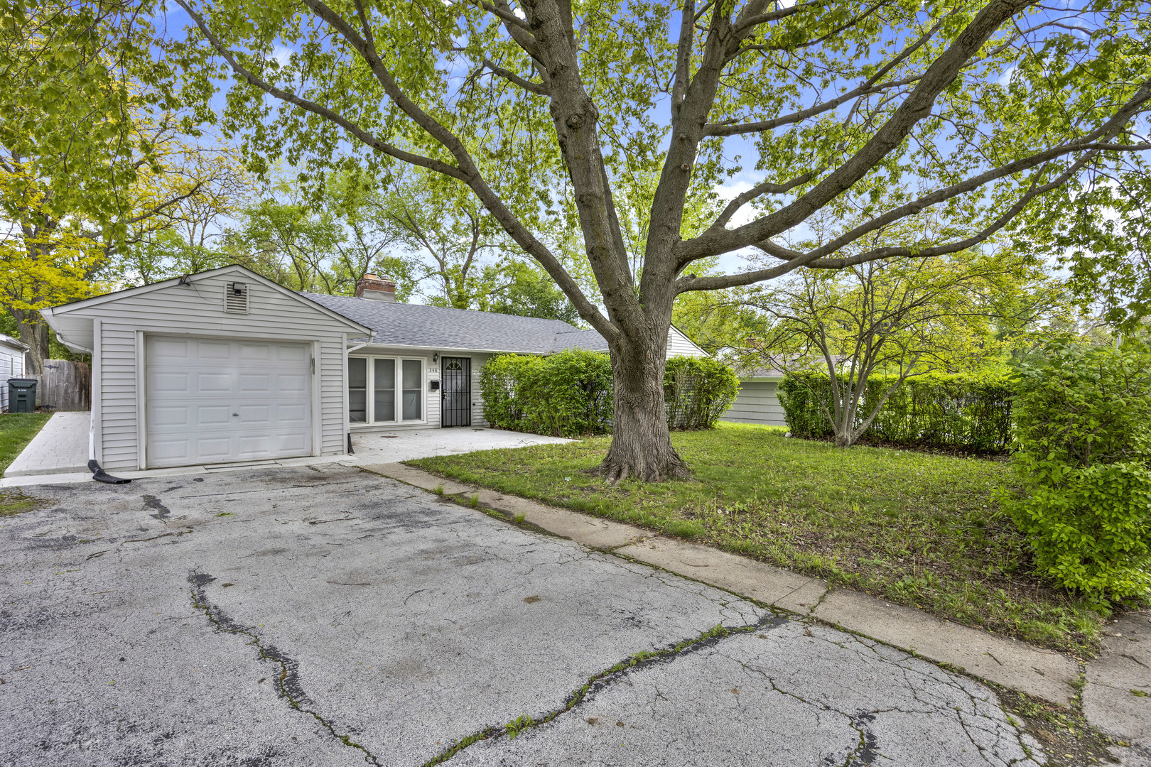 348 Niagara Street