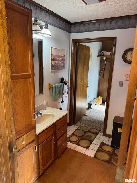 Tiny photo for 8424 Bolen Store Road, Thompsonville, IL 62890 (MLS # EB460566)