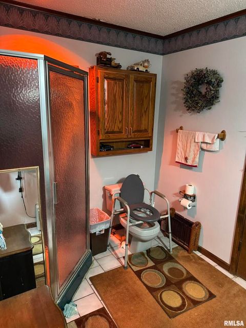 Tiny photo for 8424 Bolen Store Road, Thompsonville, IL 62890 (MLS # EB460566)