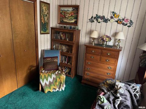 Tiny photo for 8424 Bolen Store Road, Thompsonville, IL 62890 (MLS # EB460566)