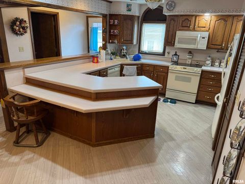 Tiny photo for 8424 Bolen Store Road, Thompsonville, IL 62890 (MLS # EB460566)