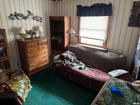 Tiny photo for 8424 Bolen Store Road, Thompsonville, IL 62890 (MLS # EB460566)