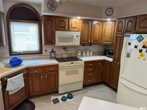 Tiny photo for 8424 Bolen Store Road, Thompsonville, IL 62890 (MLS # EB460566)