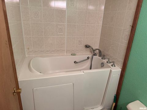 Tiny photo for 8424 Bolen Store Road, Thompsonville, IL 62890 (MLS # EB460566)