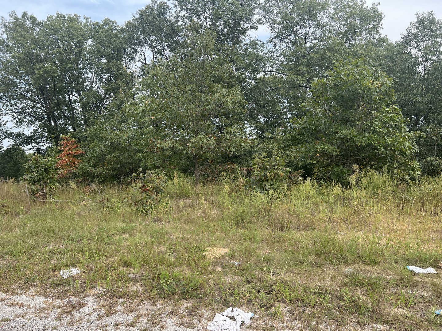 0001 Green Acres Street