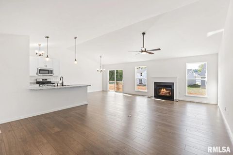 Tiny photo for 705 WILLIAMS Way, Carbon Cliff, IL 61239 (MLS # QC4265449)