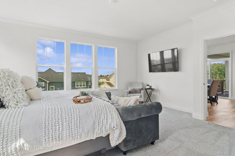 Tiny photo for 1140 River Birch Boulevard, Crystal Lake, IL 60012 (MLS # 12485491)