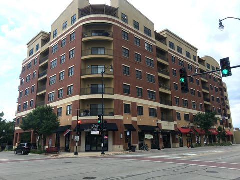 4953 Oakton Street P-11 Skokie IL 60077