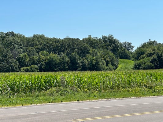 CHURCH RD, MARENGO, IL 60152 - Image 4f2a3d071a2525d992a8bfbcb9308721/330995116