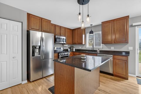 Tiny photo for 9 Annandale Court, Lake In The Hills, IL 60156 (MLS # 12573896)