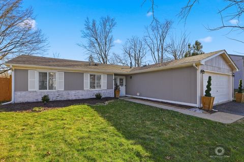 113 Lexington Drive Bolingbrook IL 60440