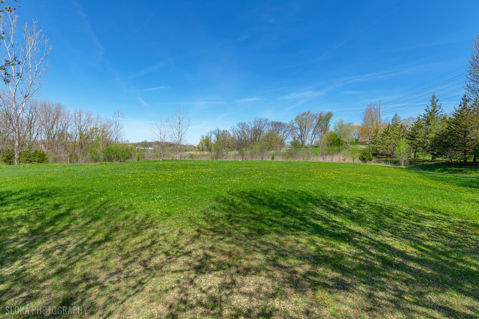 6475 Woodland Hills Drive