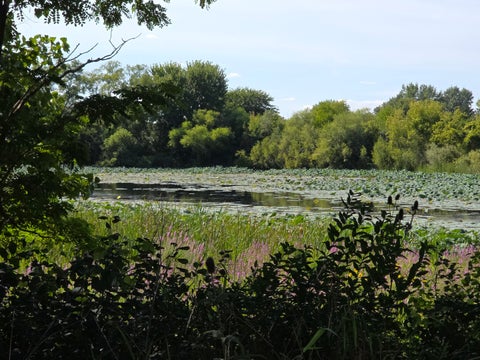Tiny photo for 2297 N Arapahoe Trail, Round Lake Heights, IL 60073 (MLS # 12743967)