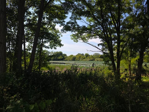 Tiny photo for 2297 N Arapahoe Trail, Round Lake Heights, IL 60073 (MLS # 12743967)