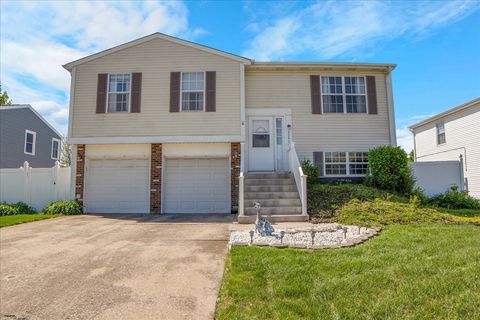 8049 W Norwood Drive Frankfort IL 60423