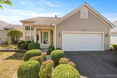 Photo of 14037 S Tamarack Drive, Plainfield, IL 60544 (MLS # 12484926)