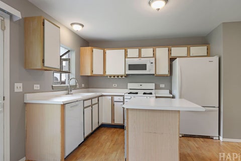 Tiny photo for 62 E Rustic Lane #0, Round Lake Beach, IL 60073 (MLS # 12693529)