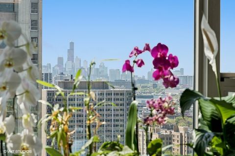 Tiny photo for 3600 N Lake Shore Drive #2223, Chicago, IL 60613 (MLS # 12408057)