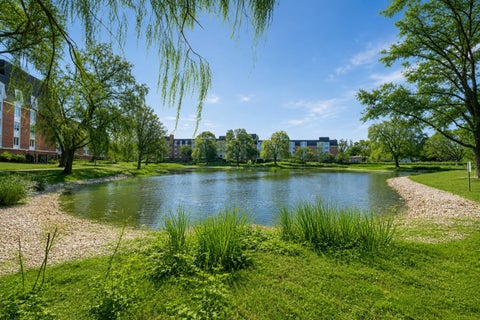 Tiny photo for 175 Lake Boulevard #349, Buffalo Grove, IL 60089 (MLS # 12732044)