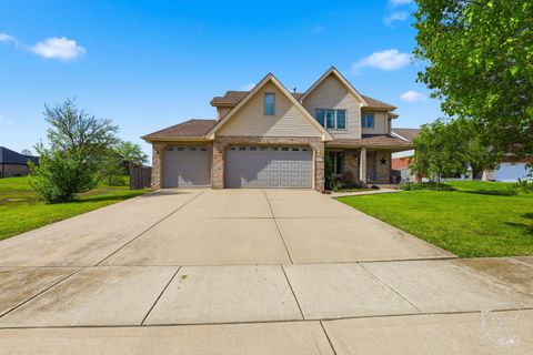Tiny photo for 4974 W Cardinal Court, Monee, IL 60449 (MLS # 12641412)