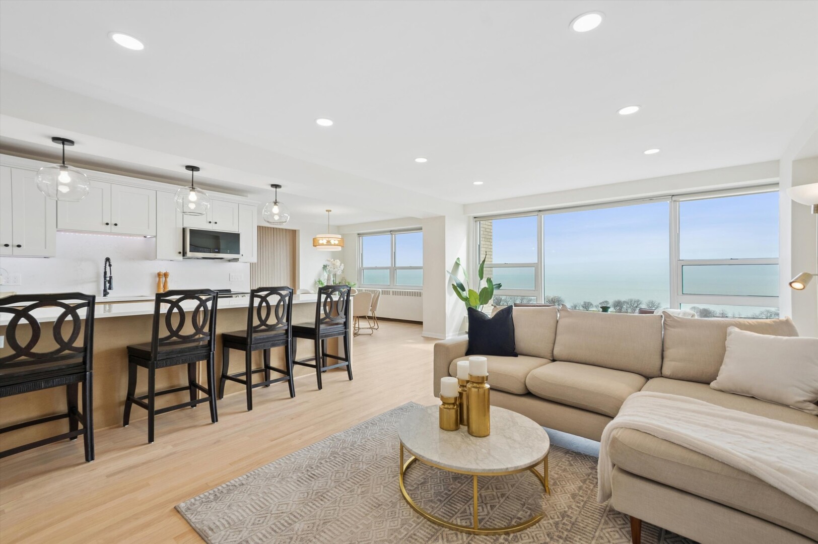 3180 N Lake Shore Drive 13C