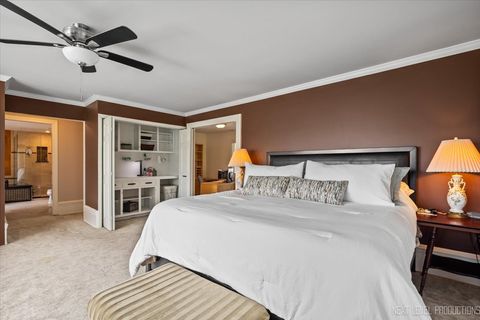 Tiny photo for 83 N Park Boulevard, Glen Ellyn, IL 60137 (MLS # 12584370)