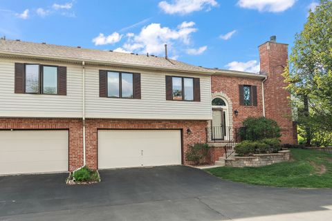 Photo of 11229 Cameron Parkway, Orland Park, IL 60467 (MLS # 12628282)