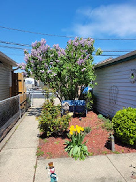 Tiny photo for 4944 W Winona Street, Chicago, IL 60630 (MLS # 12570589)