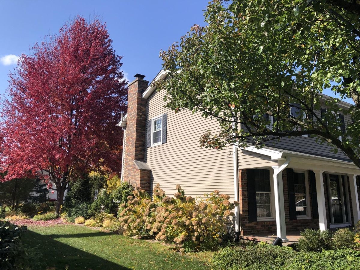 741 Buttonwood Circle