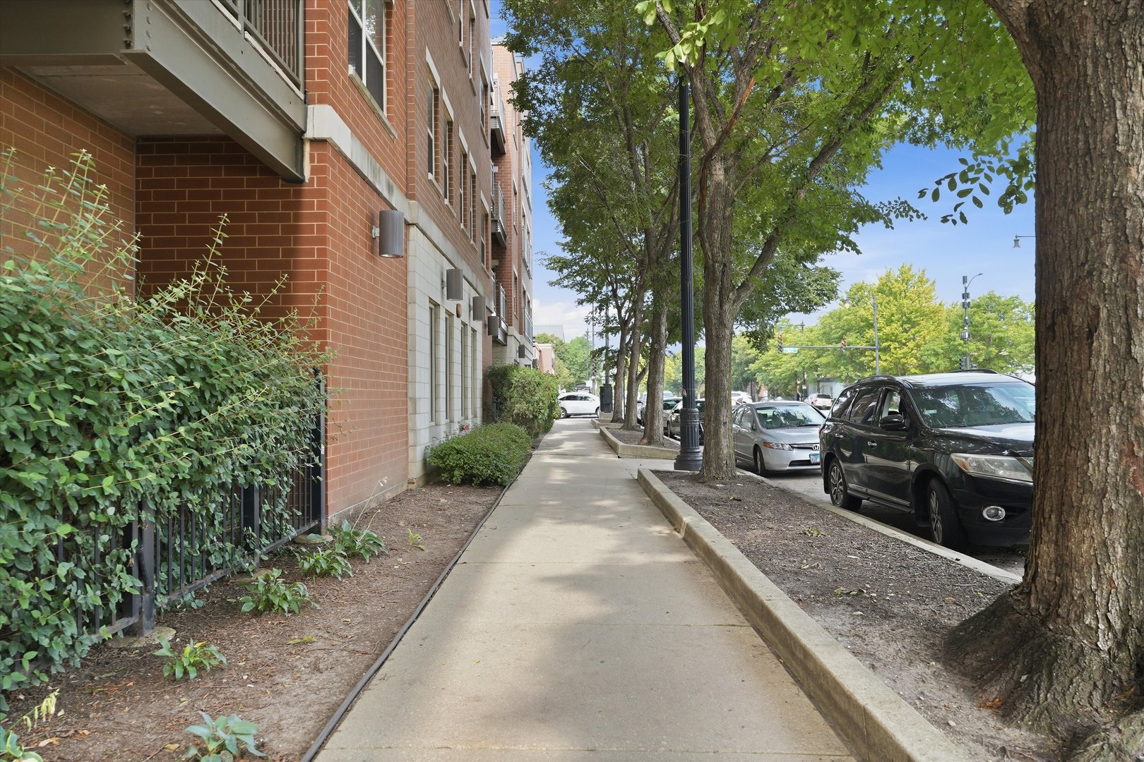 1155 W Roosevelt Road 404