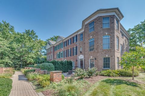 Photo of 243 Box Car Avenue, Naperville, IL 60540 (MLS # 12484326)