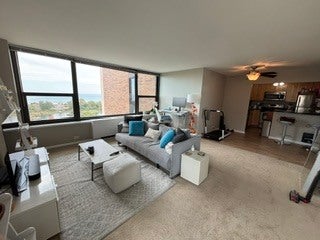 1850 N Clark Street 1602
