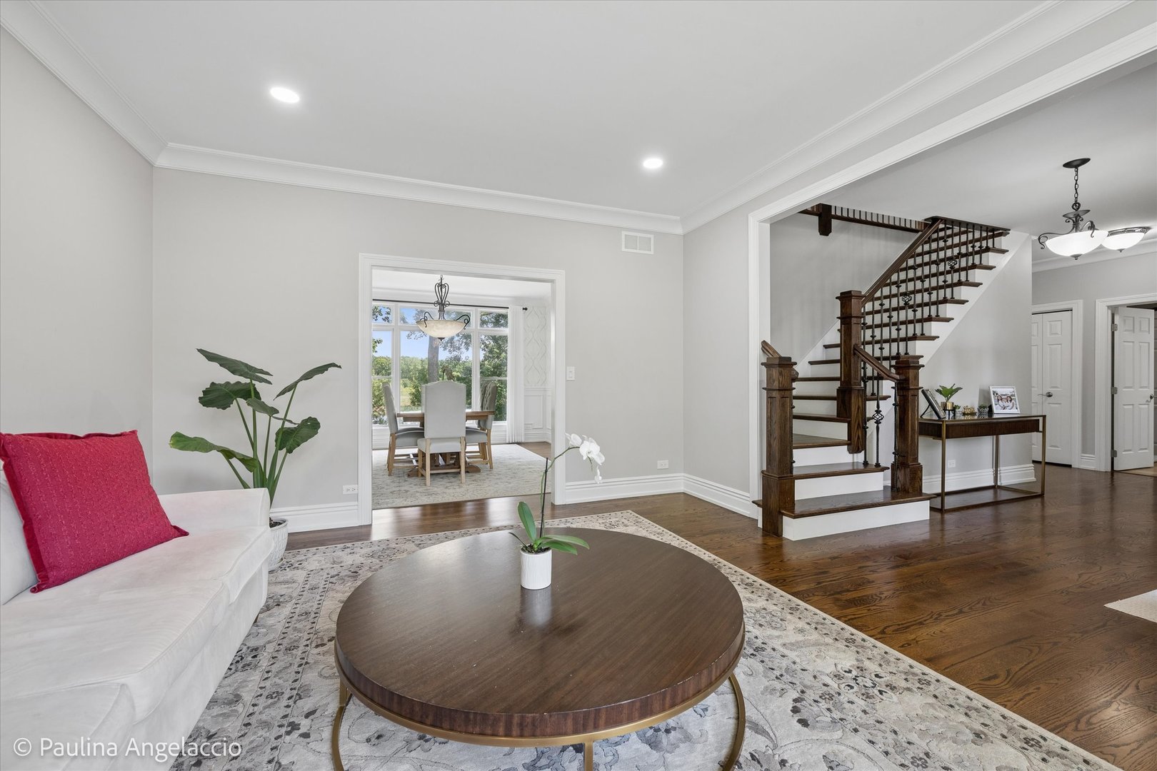 207 Lions Court
