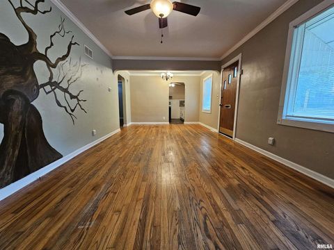 Tiny photo for 713 N 10TH Street, Mt Vernon, IL 62864 (MLS # 12616205)