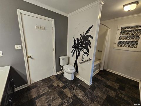 Tiny photo for 713 N 10TH Street, Mt Vernon, IL 62864 (MLS # 12616205)