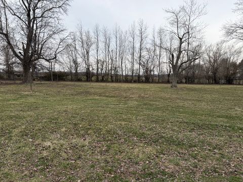 Tiny photo for 205 Kimmel Bridge Road, Murphysboro, IL 62966 (MLS # 12587094)